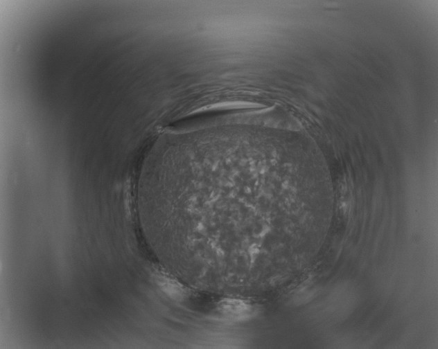 X0000072520519200607211427