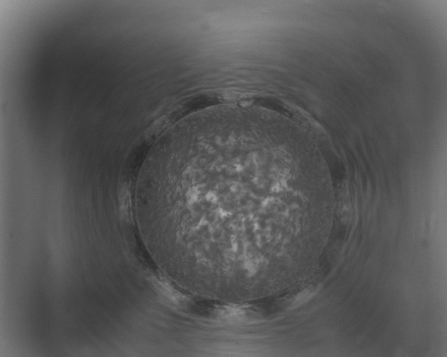 X0000072520523200607211427