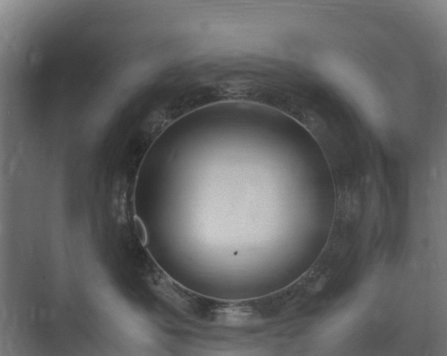 X0000072520525200607211426