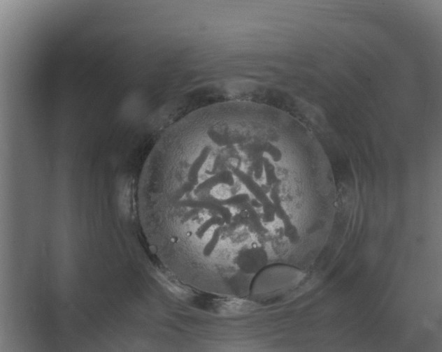 X0000072520527200607211426