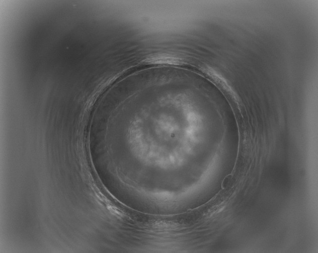 X0000072520529200607211426