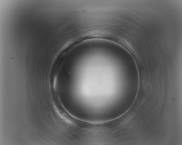 X0000072520530200607211426