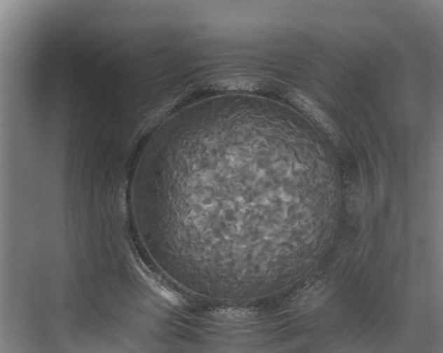 X0000072520537200607211426