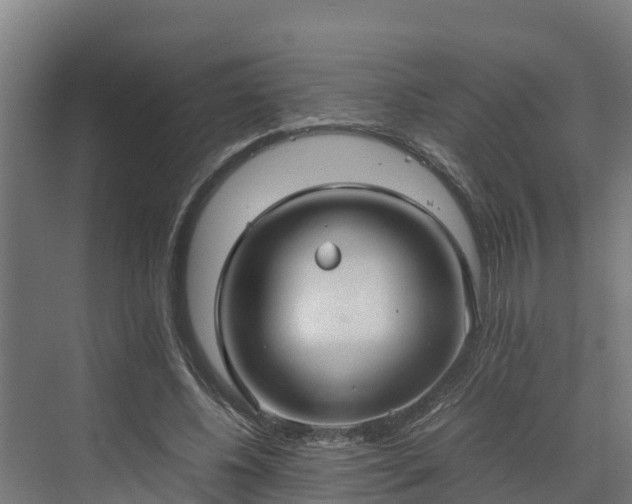 X0000072520540200607211426