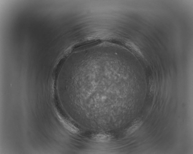 X0000072520542200607211426