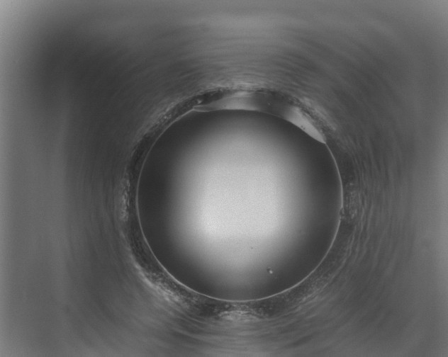 X0000072520544200607211426