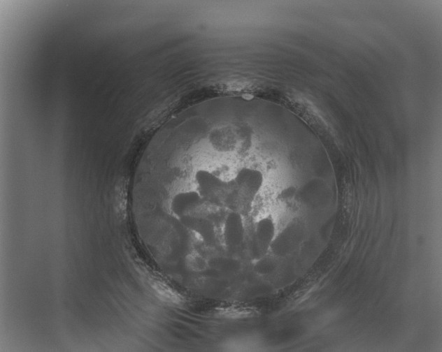 X0000072520545200607211426