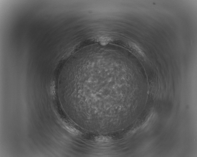 X0000072520549200607211426