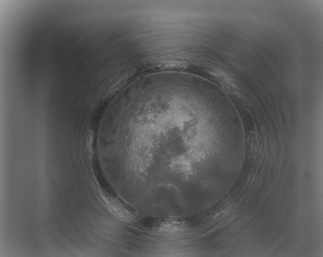 X0000072520550200607211426