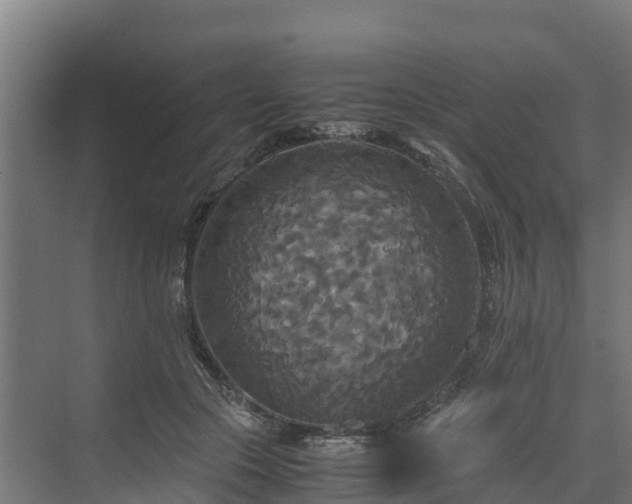 X0000072520553200607211426