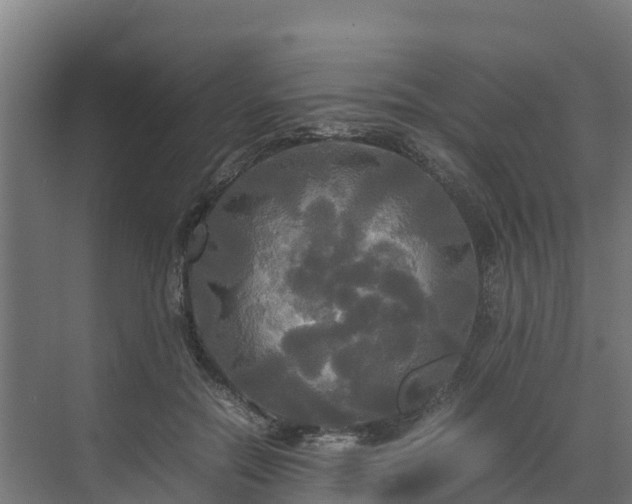 X0000072520554200607211426