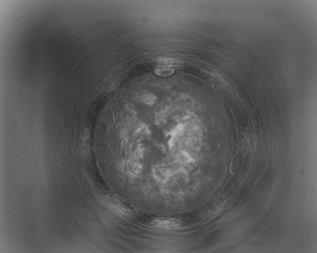 X0000072520557200607211426