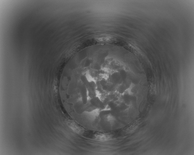 X0000072520561200607211426