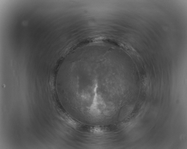 X0000072520565200607211426