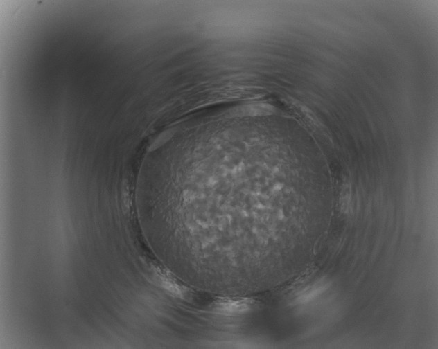 X0000072520569200607211426