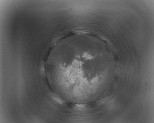 X0000072520573200607211426