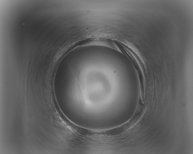 X0000072520577200607211426