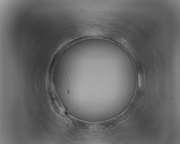 X0000072520579200607211426