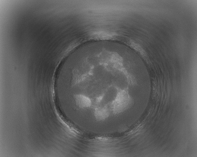 X0000072520582200607211426