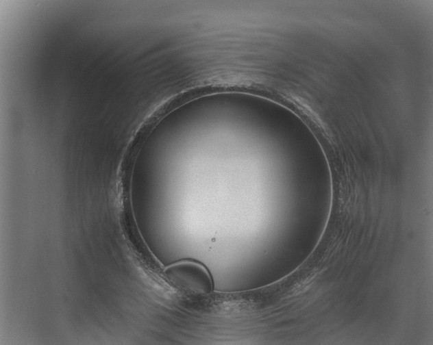 X0000072520584200607211425