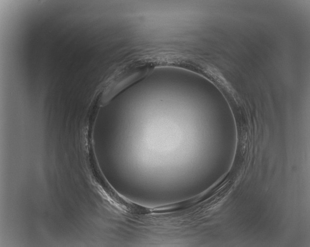 X0000072520585200607211425