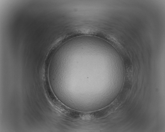 X0000072520587200607211425