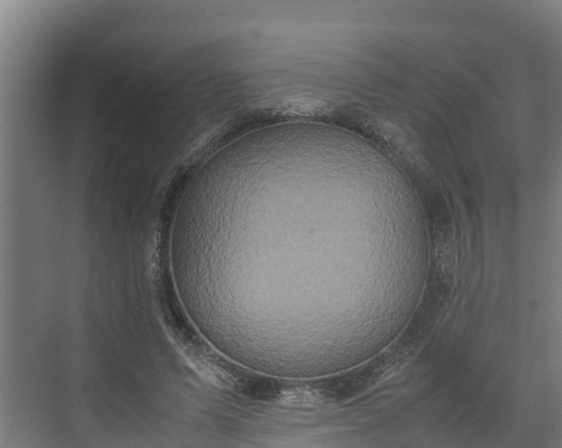 X0000072520591200607211425