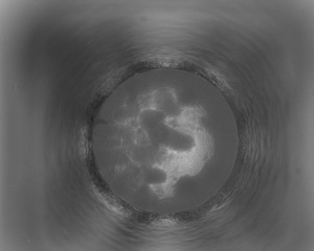 X0000072520594200607211425