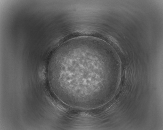 X0000072520596200607211425