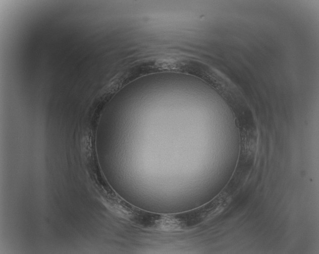 X0000072520603200607211425