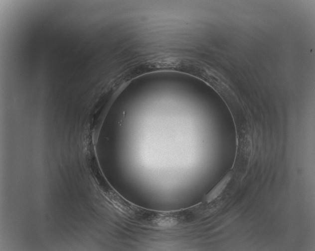 X0000072520604200607211425