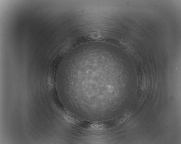 X0000072520606200607211425