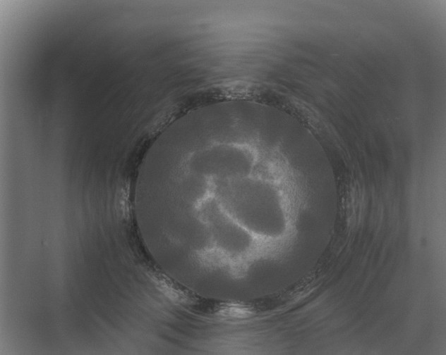 X0000072520610200607211425