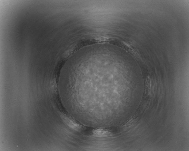 X0000072520614200607211425