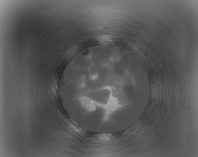 X0000072520618200607211425