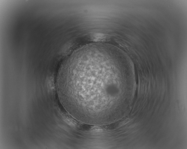 X0000072520620200607211425