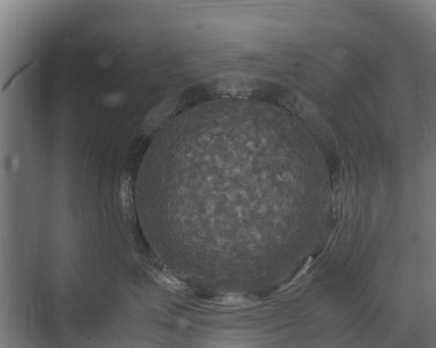 X0000072520623200607211425