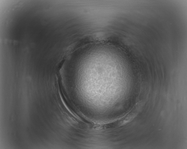 X0000072520624200607211425