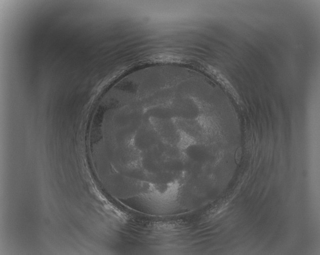 X0000072520625200607211424