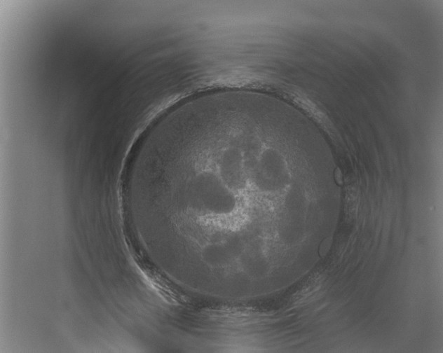 X0000072520626200607211424