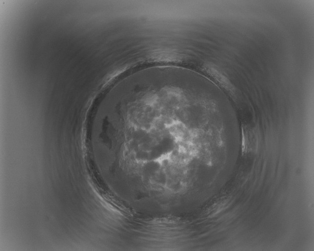 X0000072520627200607211424