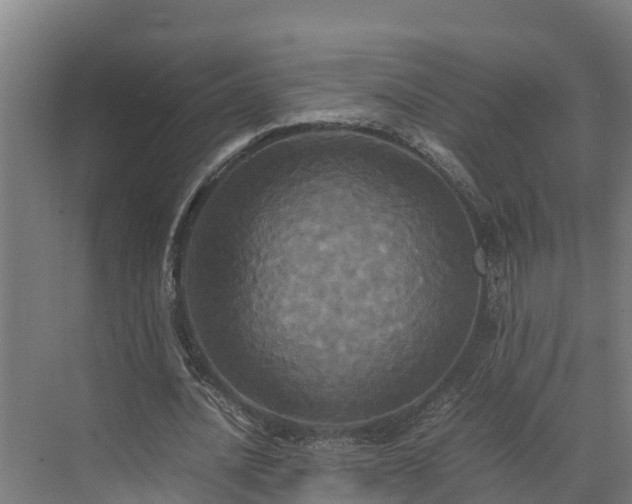 X0000072520628200607211424