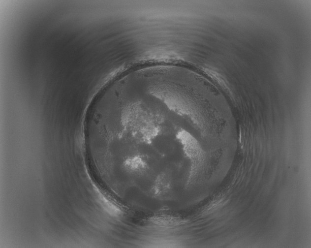 X0000072520630200607211424