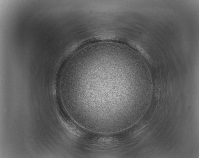 X0000072520631200607211424