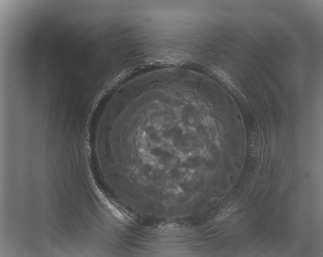 X0000072520634200607211424