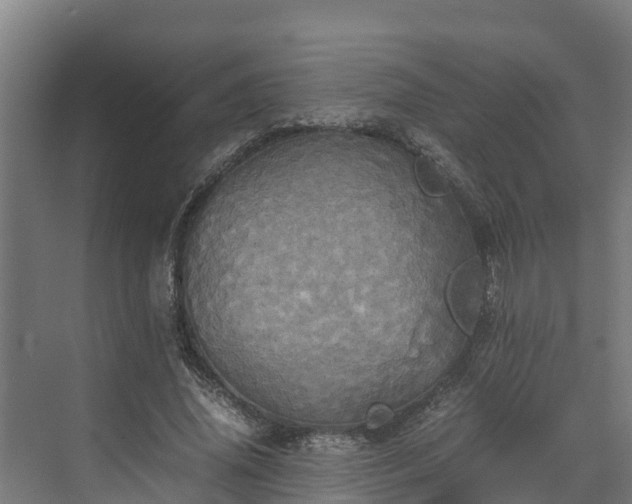 X0000072520636200607211424