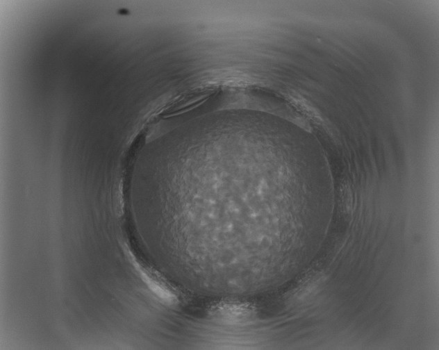 X0000072520638200607211424