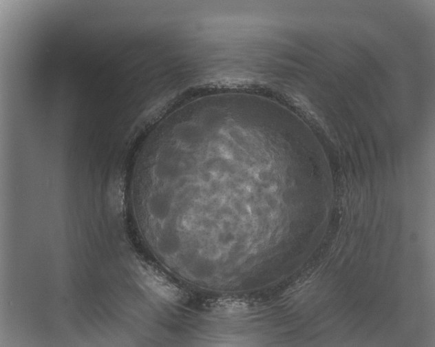 X0000072520640200607211424