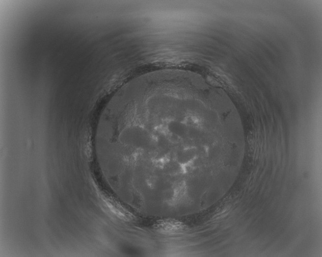 X0000072520642200607211424