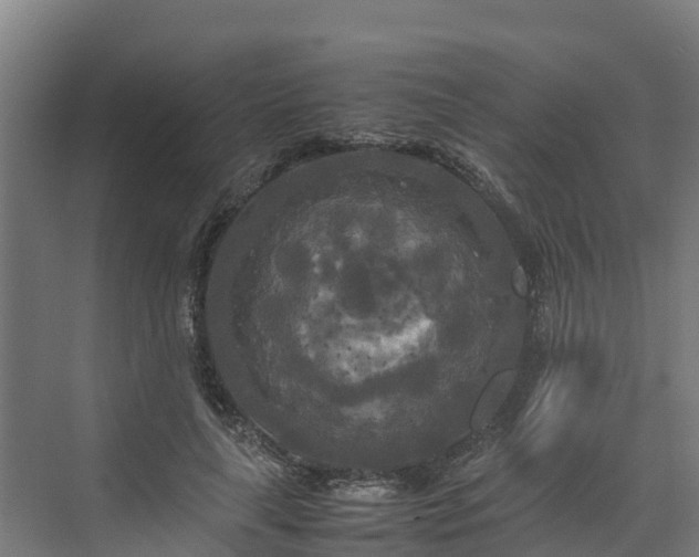 X0000072520643200607211424